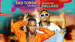 Pallaso - Tewekayo (feat. Sad Torsh)