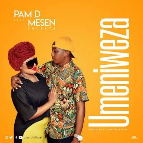 Pam D - Umeniweza (feat. Mesen Selekta)