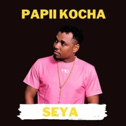 Papii Kocha - Seya I (feat. Nguza)