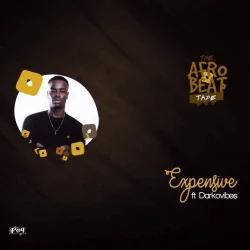 Paq - Expensive (feat. Darkovibes)