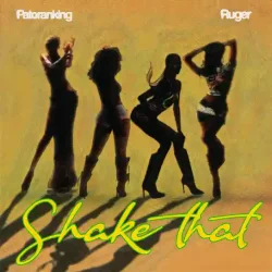 Patoranking - Shake That (feat. Ruger)