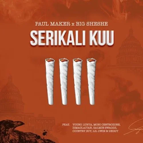 Paul Maker - Serikali Kuu (feat. Big Sheshe feat. Young Lunya, Moni Centrozone, Salmin Swaggz, Lil Dwin, Country Boy, Zima & Deddy)