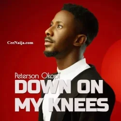 Peterson Okopi - Down On My Knees