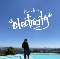 Pheelz - Electricity (feat. Davido)