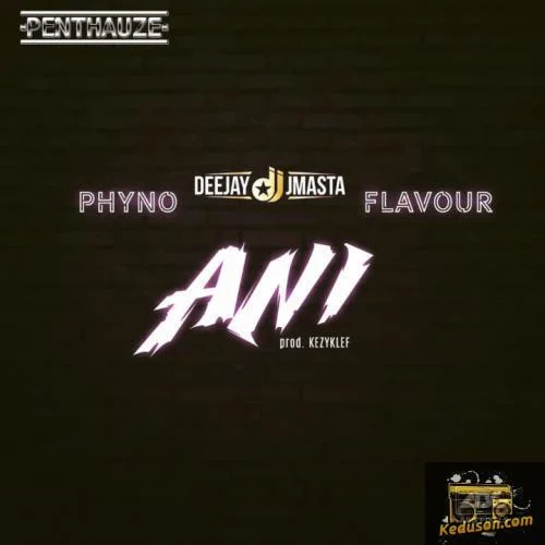Phyno - Ani
