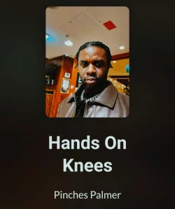 Pinches Palmer - Hands On Knees