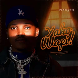 Platform - Yako Wapi By Platform