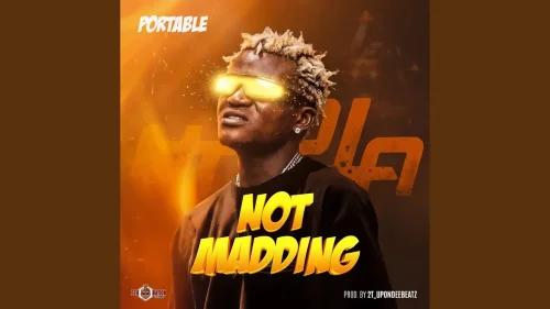 Portable - Not Madding
