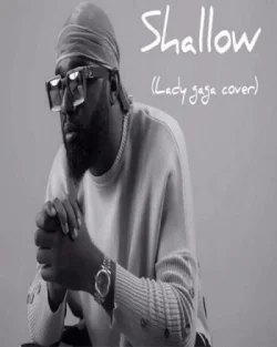 Praiz - Shallow (Lady Gaga Cover)