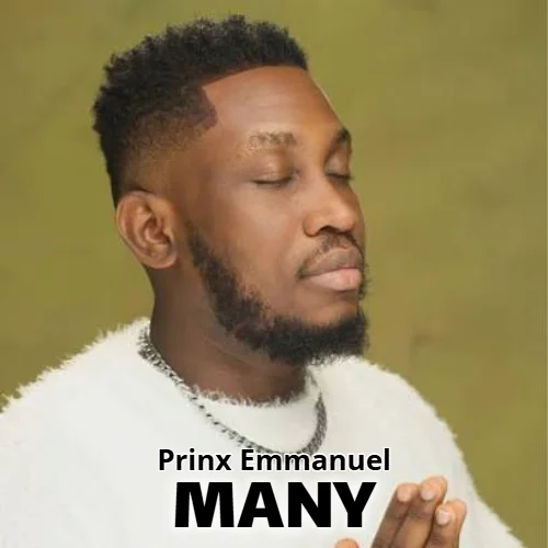 Prinx Emmanuel - Many (Official Video)