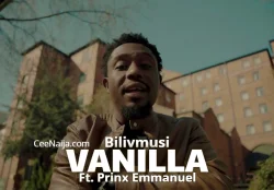 Prinx Emmanuel - Vanilla (Official Video Visualizer) (feat. Bilivmusic)