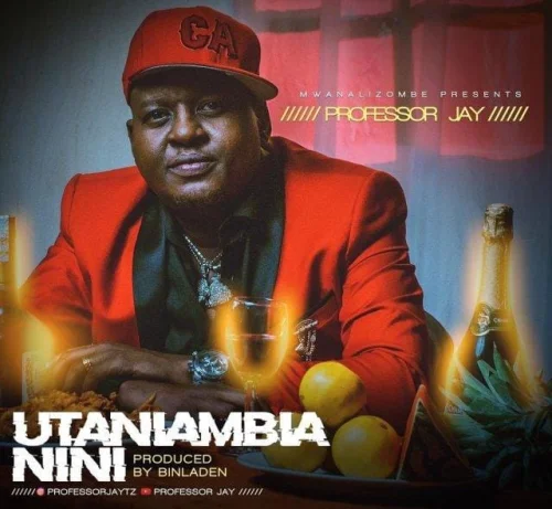 Professor Jay - Utaniambia Nini