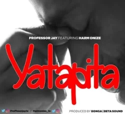 Professor Jay - Yatapita (feat. Harmonize)