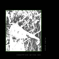 Pure Akan - Kwappiah Gyina So