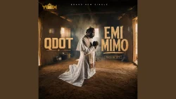 Qdot - EMI MIMO