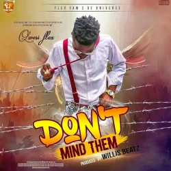 Qwesi Flex - Dont Mind Them
