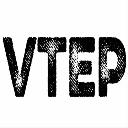 RBIB - VTEP