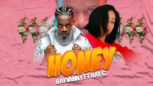 Rayvanny - Honey (feat. Ray C)