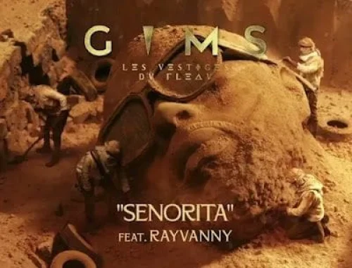Rayvanny - Senorita (feat. GIMS)