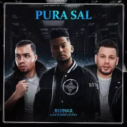 Redimi2 - Pura Sal (feat. Funky & Alex Zurdo)