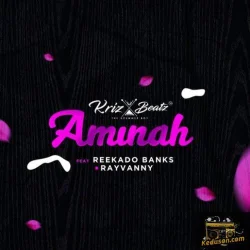 Reekado Banks - Aminah