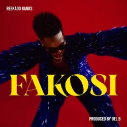 Reekado Banks - Fakosi