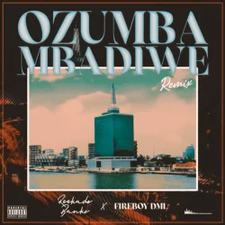 Reekado Banks - Ozumba Mbadiwe (Remix) (feat. Fireboy DML)