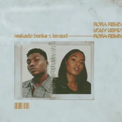 Reekado Banks - Rora (Remix) (feat. Lavaud)