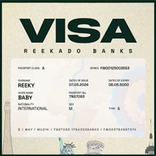 Reekado Banks - Visa
