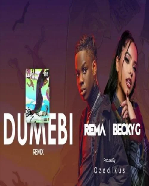 Rema - Dumebi (Remix)