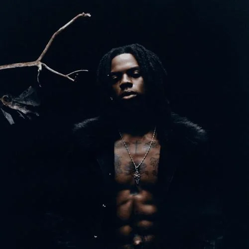 Rema - Is It A Crime? Snippet