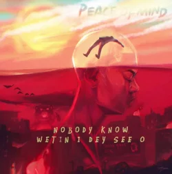 Rema - Peace Of Mind