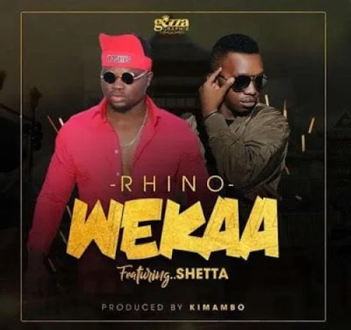 Rhino - Wekaa (feat. Shetta)