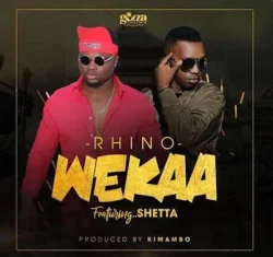 Rhino - Wekaa (feat. Shetta)