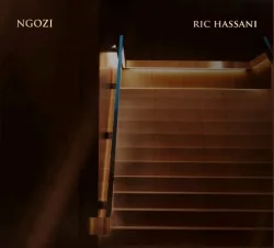 Ric Hassani - Ngozi