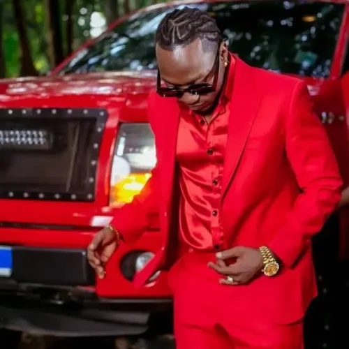 Rich Mavoko - Kushanoga