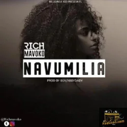 Rich Mavoko - Navumilia