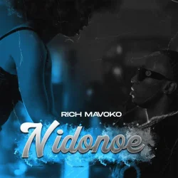 Rich Mavoko - Nidonoe