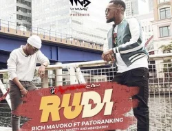 Rich Mavoko - Rudi (feat. Patoranking)