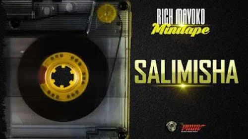 Rich Mavoko - Salimisha