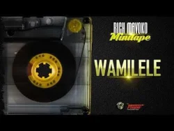 Rich Mavoko - Wamilele