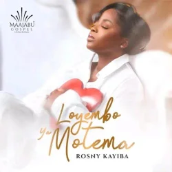 Rosny Kayiba - Localisé
