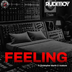 Rudeboy - Feelings