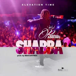 Rudebwoy Ranking - Shabba