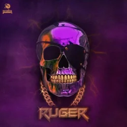 Ruger - Lockdown