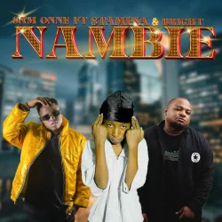 SAM ONNE - Nambie (feat. Stamina & Bright)