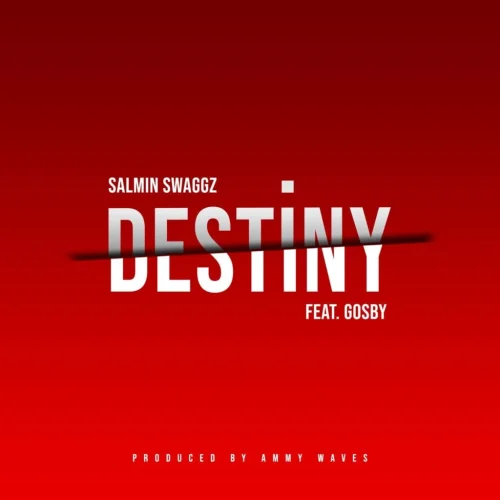 Salmin Swaggz - Destiny (feat. Gosby)