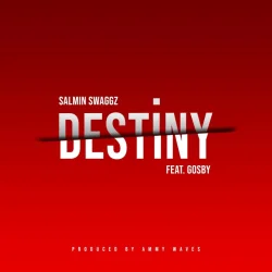 Salmin Swaggz - Destiny (feat. Gosby)