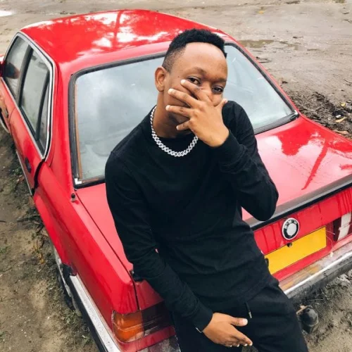 Salmin Swaggz - Mauzauza (feat. Chin Bees)