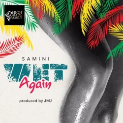 Samini - Wet Again